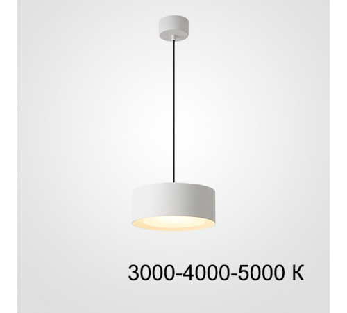 Подвесной светильник ImperiumLoft Siggen 212932-23