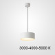 Подвесной светильник ImperiumLoft Siggen 212932-23