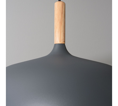Подвесной светильник Arte Lamp Kayla A7099SP-1GY