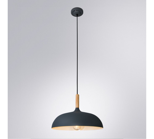 Подвесной светильник Arte Lamp Kayla A7099SP-1GY