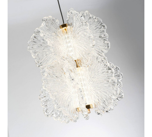 Подвесная светильник Modelight MDL.65223.2HC GD