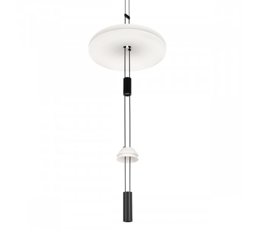 Подвесной светильник Loft IT Flamingo 10598C
