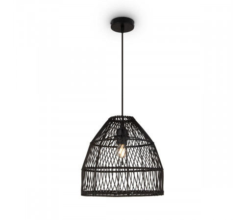 Подвесной светильник Freya Mesh FR5334PL-01B