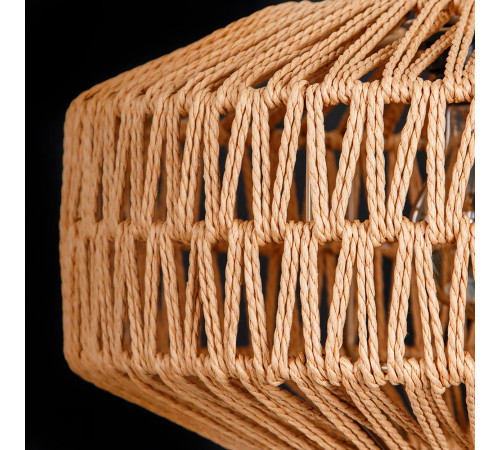 Подвесной светильник Arte Lamp Brushwood A7087SP-1BK Подвесной светильник Arte Lamp Brushwood A7087SP-1BK