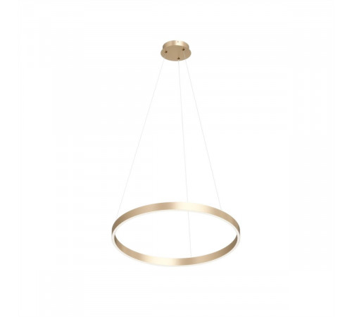 Подвесной светильник Denkirs Raydia DK6273-SG