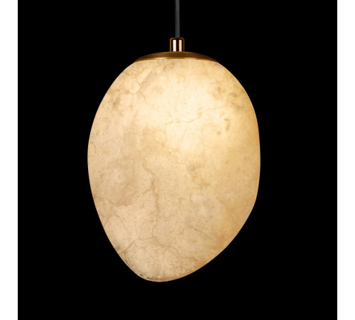 Подвесной светильник Loft IT Fionora 10531A