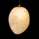 Подвесной светильник Loft IT Fionora 10531A