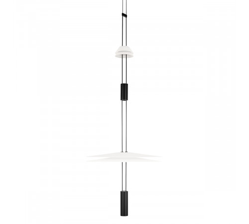 Подвесной светильник Loft IT Flamingo 10598B