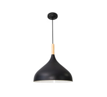 Подвесной светильник Arte Lamp Kayla A7101SP-1BK