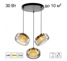 Подвесной светильник Citilux Signature CL247012