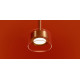 Подвесной светильник Freya Cowl FR5633PL-L6BS