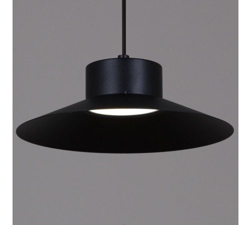 Подвесной светильник Reluce 40110-0.9-03A BK