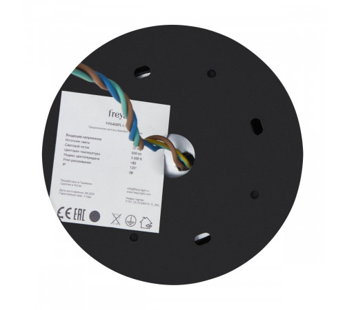 Подвесной светильник Freya Beam FR5469PL-L10B