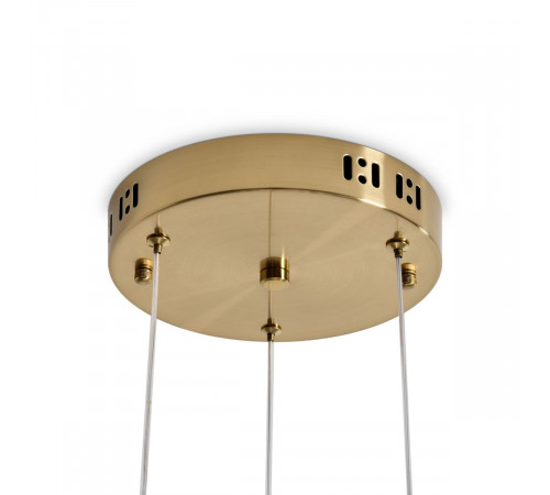 Подвесной светильник Freya Aletta FR6242PL-L24BS