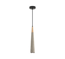 Подвесной светильник Lumion Suspentioni Eoliana 8351/1C