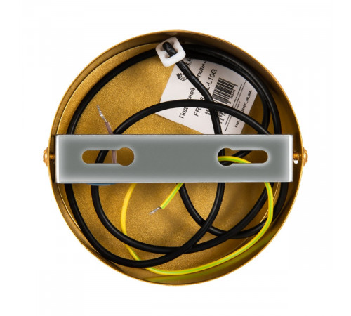 Подвесной светильник Freya Planetary FR6081PL-L10G