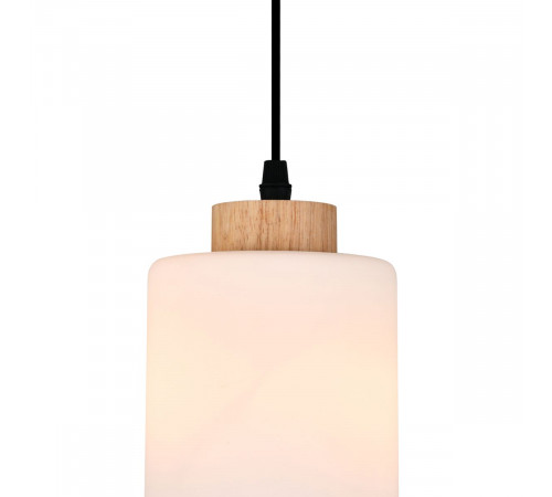 Подвесной светильник Escada Spirit 160002/A/1P Black ES0000015