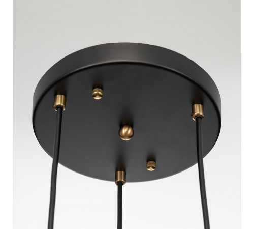 Подвесной светильник Citilux Ronin CL326013