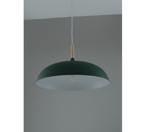 Подвесной светильник Moderli Hygo V11804-1P