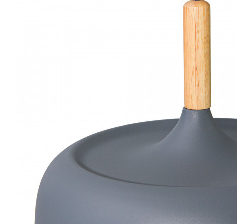 Подвесной светильник Arte Lamp Kayla A7102SP-1GY