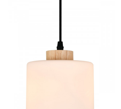 Подвесной светильник Escada Spirit 160002/B/1P Black ES0000016