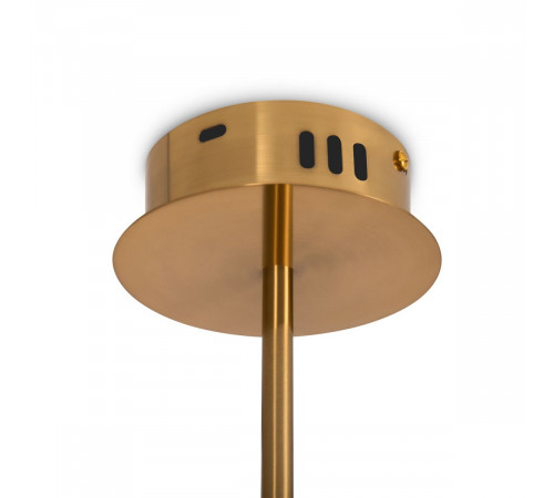 Подвесной светильник Freya Fancy FR6059PL-L88BS