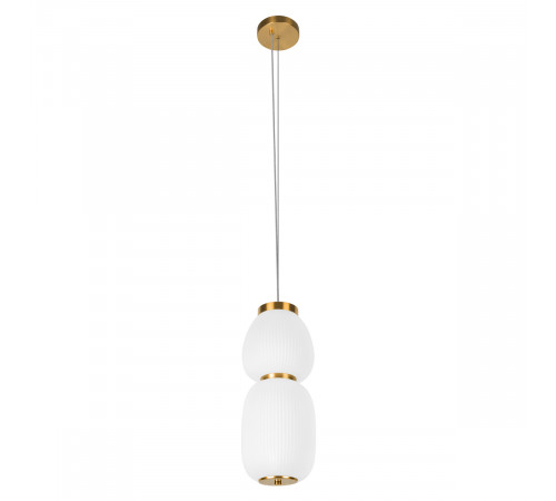 Подвесной светильник Loft IT Duff 10422/A