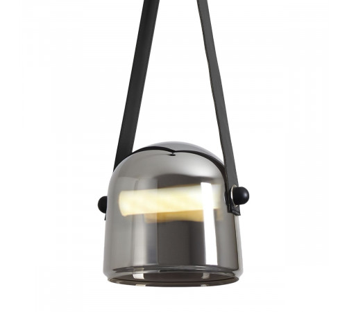 Подвесной светильник Freya Aurum FR5471PL-L12B