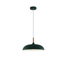 Подвесной светильник Moderli Hygo V11804-1P