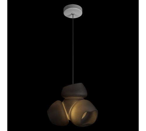 Подвесной светильник LOFT IT Cluster 10467P Black