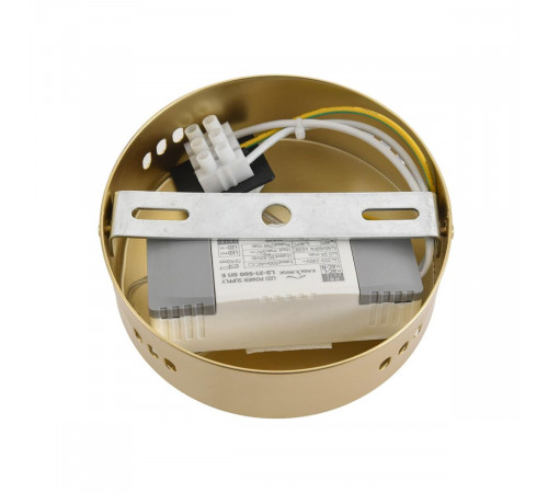 Подвесной светильник Lumion Ledio Trendy 8259/15WCL Подвесной светильник Lumion Ledio Trendy 8259/15WCL