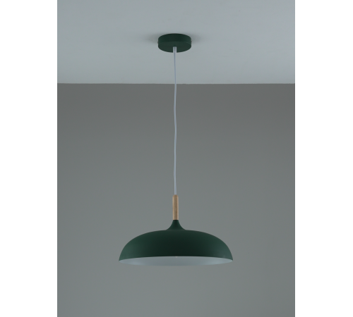 Подвесной светильник Moderli Hygo V11804-1P