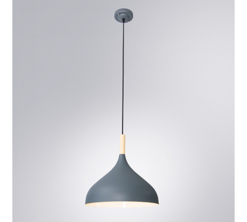 Подвесной светильник Arte Lamp Kayla A7101SP-1GY