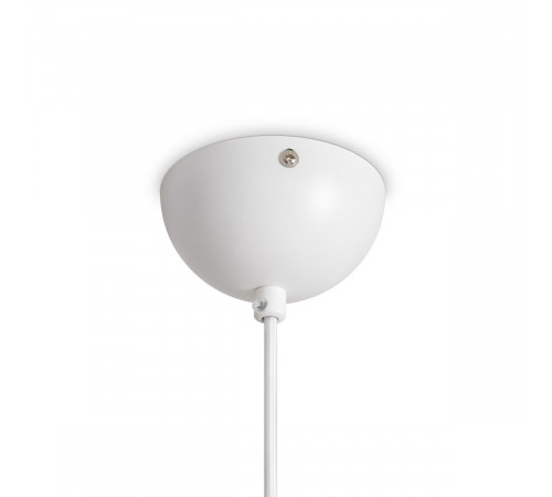 Подвесной светильник Freya Alies FR5509PL-01W