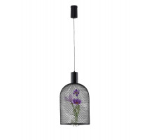 Подвесной светильник Moderli Ophelia V11875-PL