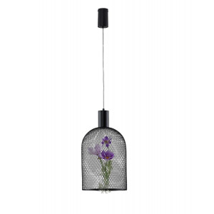 Подвесной светильник Moderli Ophelia V11875-PL