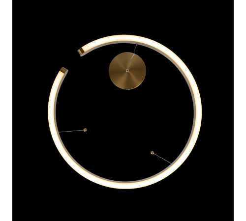 Подвесной светодиодный светильник Loft IT Ring 10013L Подвесной светодиодный светильник Loft IT Ring 10013L