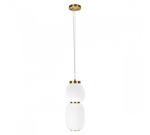 Подвесной светильник Loft IT Duff 10422/A
