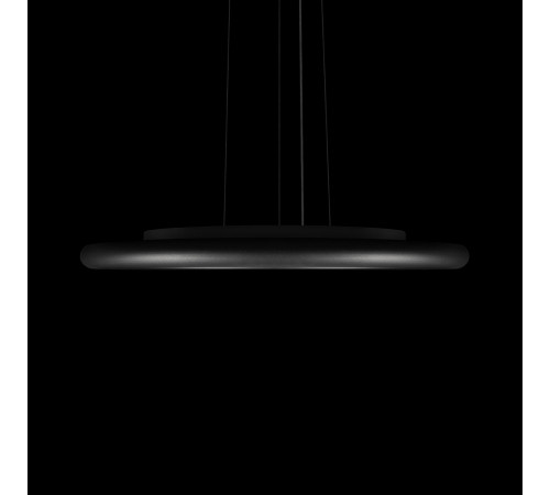 Подвесной светильник LOFT IT Sweety 10454/500P Black