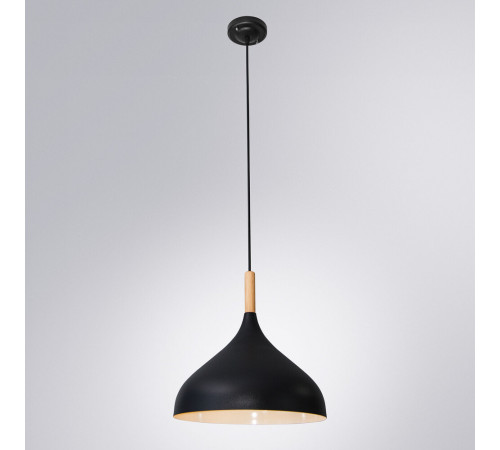 Подвесной светильник Arte Lamp Kayla A7101SP-1BK