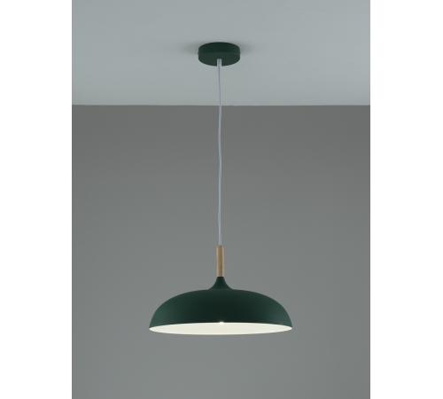 Подвесной светильник Moderli Hygo V11804-1P