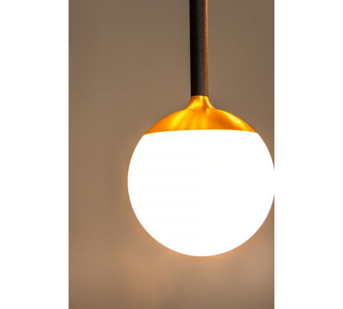 Подвесной светильник Lucide Calina 24406/07/30