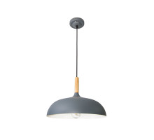 Подвесной светильник Arte Lamp Kayla A7099SP-1GY