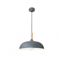 Подвесной светильник Arte Lamp Kayla A7099SP-1GY