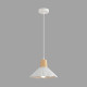 Подвесной светильник Lumion Suspentioni Eoliana 8352/1A