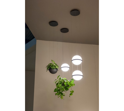 Подвесной светильник ImperiumLoft Palma 212755-22