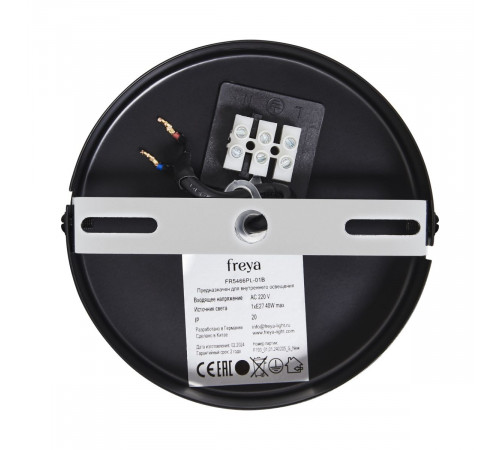 Подвесной светильник Freya Enface FR5466PL-01B