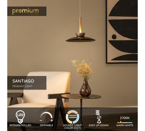 Подвесной светильник Lucide Santiago 23401/12/62