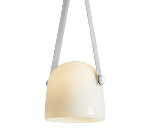 Подвесной светильник Freya Aurum FR5471PL-L12W