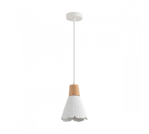Подвесной светильник Lumion Suspentioni Eoliana 8352/1B